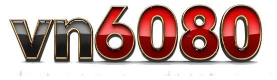 vn6080 logo